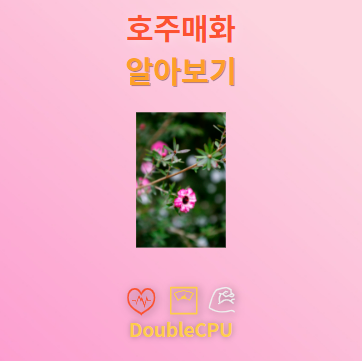 호주매화 탐구