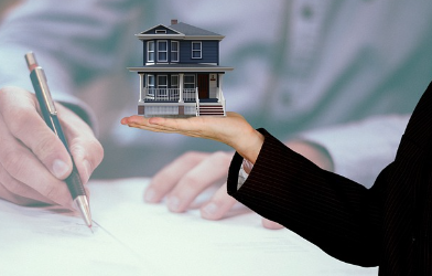 서울 그린벨트 해제