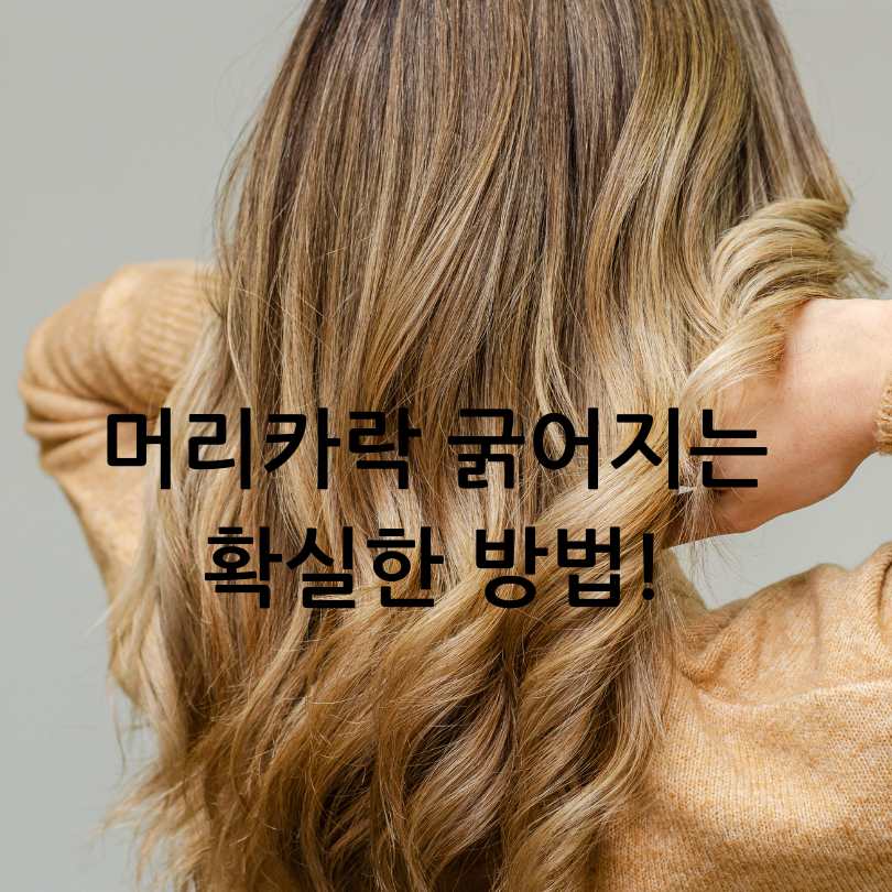 머리카락 굵어지는 방법과 가늘어지는 이유