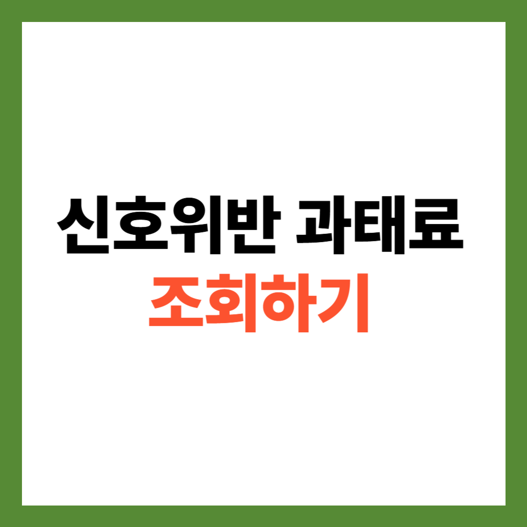 신호위반 과태료 조회하기