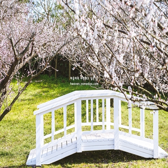 2월 제주도 가볼만한곳 10곳