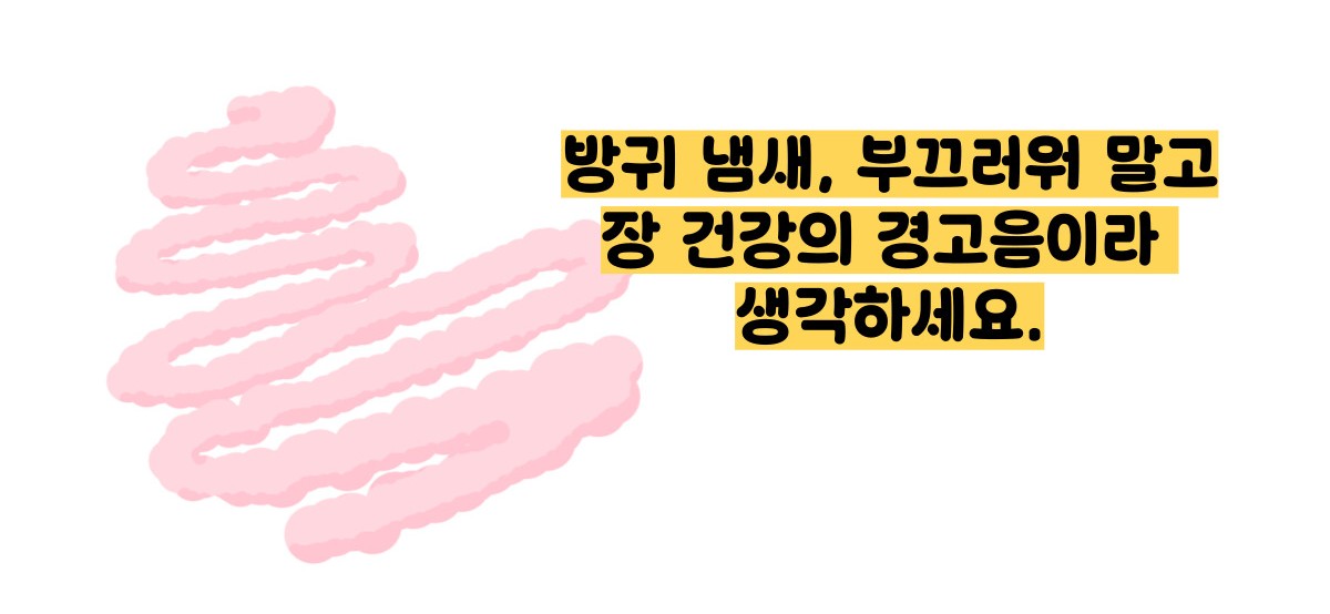 방귀 냄새가 심한 이유
