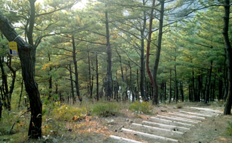 영덕 블루로드