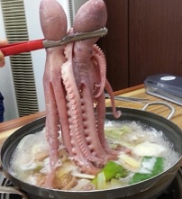서해박속낙지