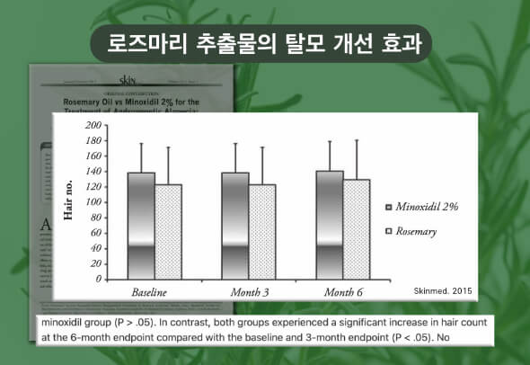 로즈마리 추출물은 탈모 영양제인 미녹시딜과 비교했을때 동등한 수준의 탈모 개선 효과를 보여줍니다.