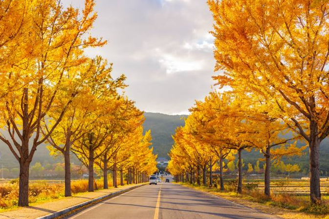 ์ํ๋๋ฌด ์ ๊ฒฝ