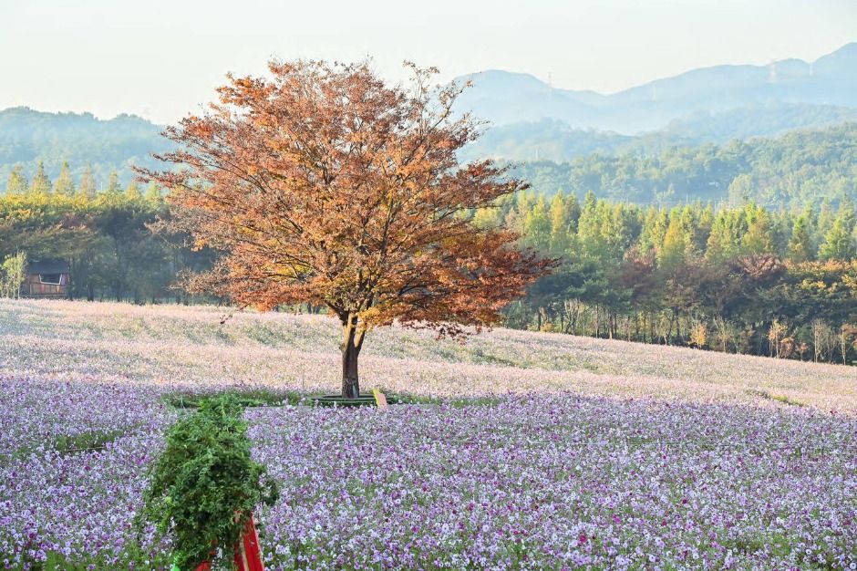 예산 가볼만한곳 베스트10
