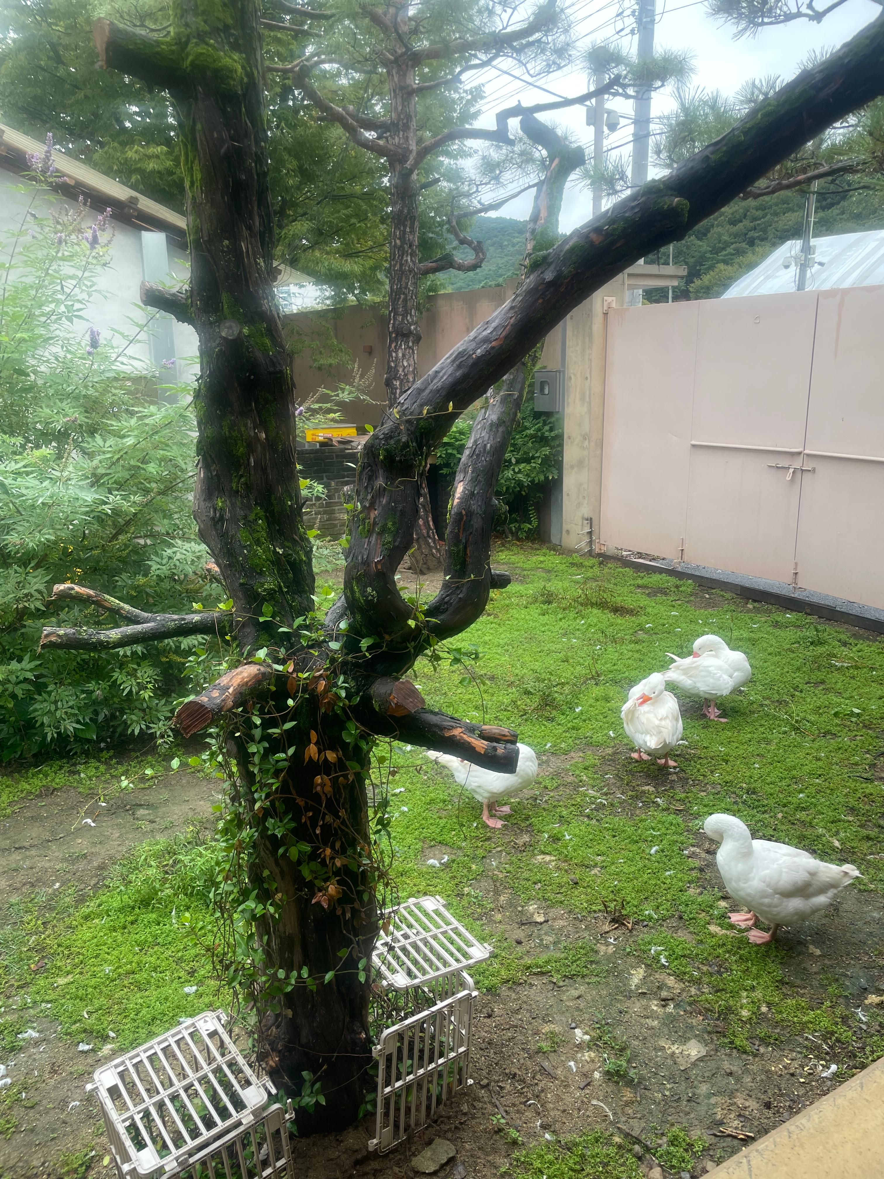 팔공산 대형카페 파이퍼 베이커리