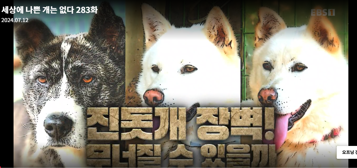 설채현-세상에나쁜개는없다-세나개-283화-진돗개장벽-재방송