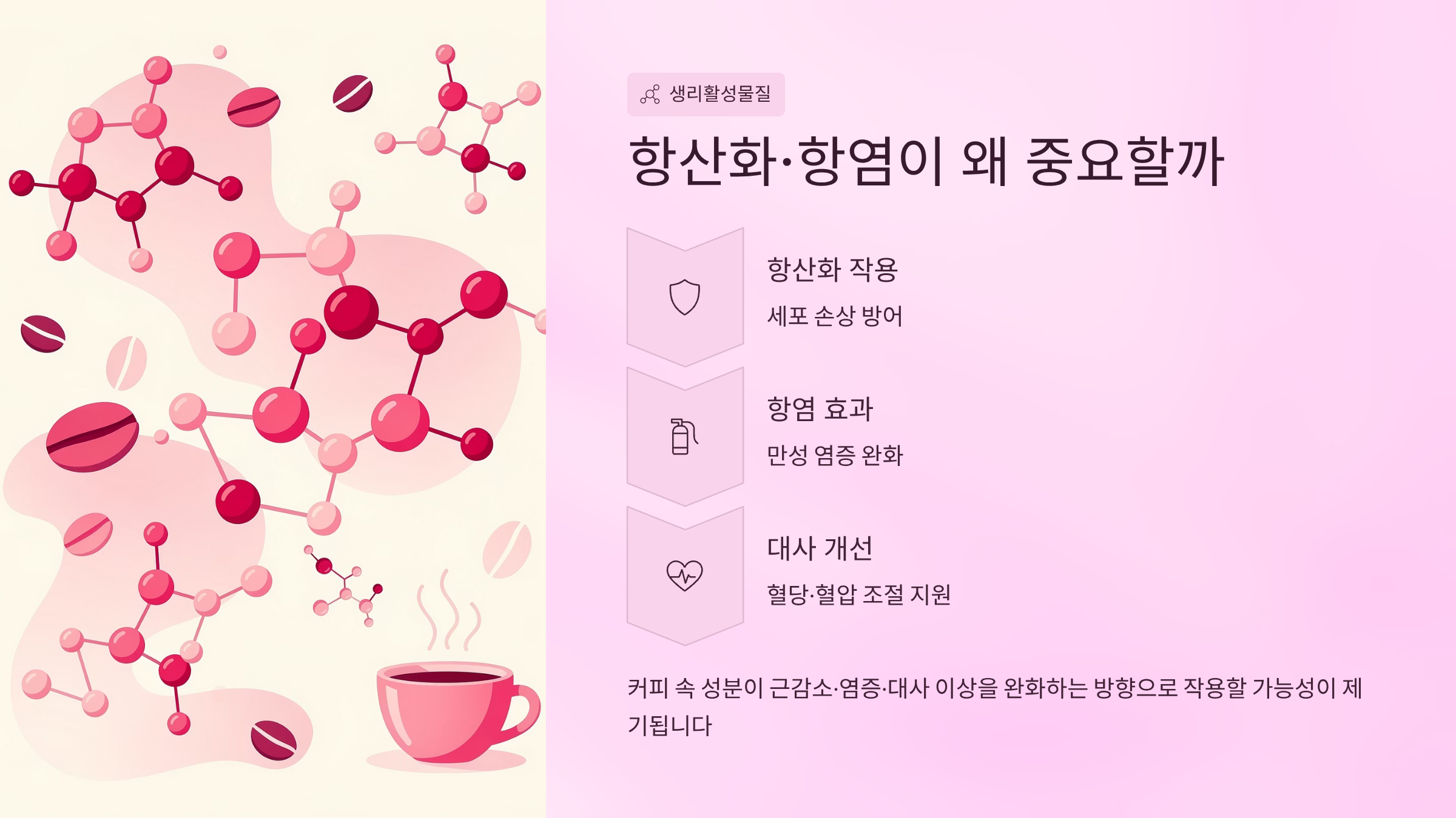 커피 하루 4잔 건강 효과 핵심 가이드