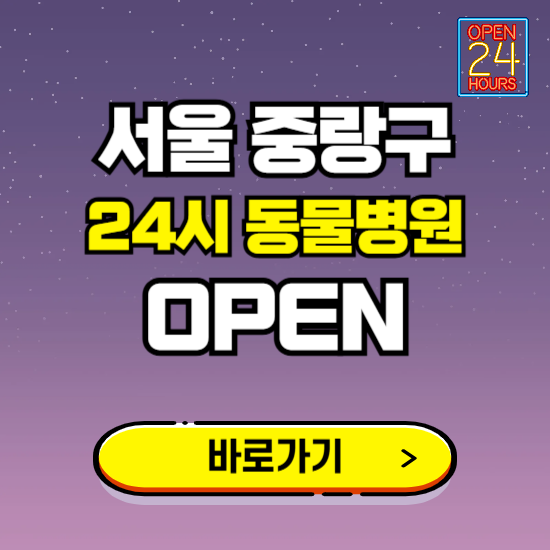 서울 중랑구 24시 동물병원 진료하는 곳 ❘ 설날 휴일 야간 심야 문여는곳 찾기 ❘ 응급진료