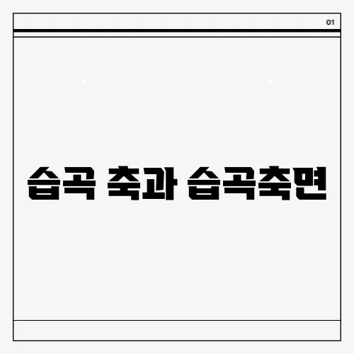 습곡 축과 습곡축면