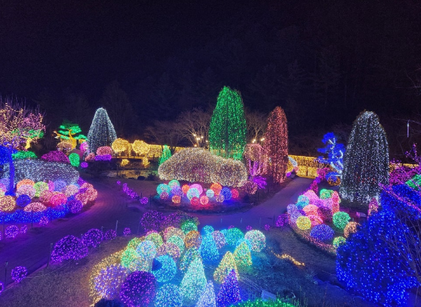 애견동반겨울여행지