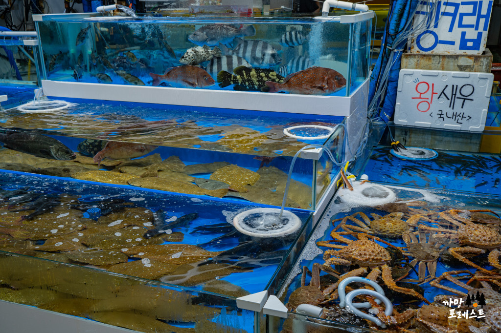 궁평항 수산물 시장