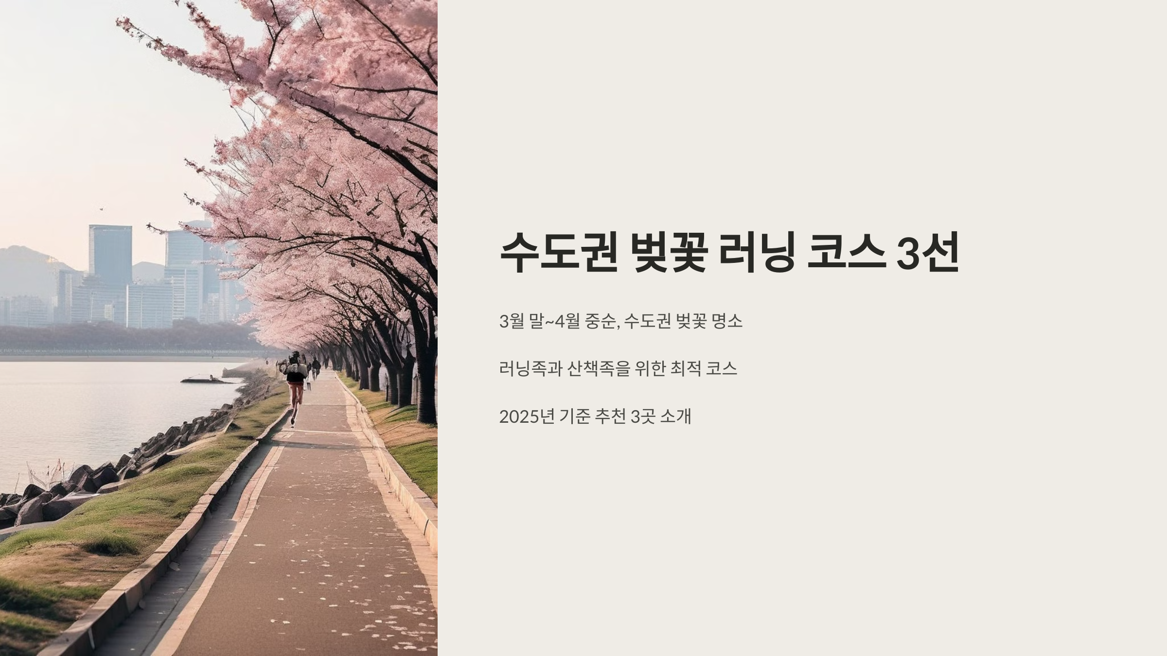 수도권 벚꽃러닝코스