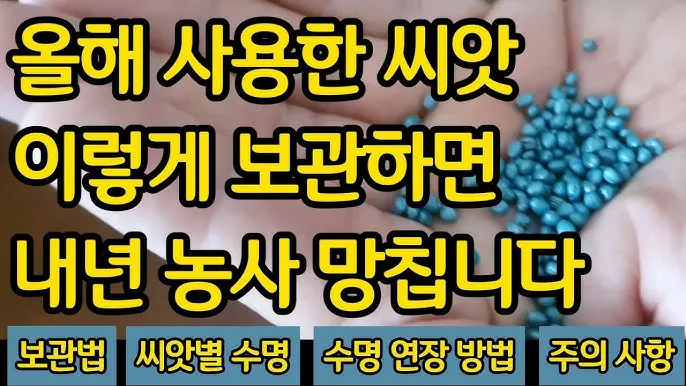 씨앗 저장법 건조 저온 밀봉 발아율 유지 교체 주기_3