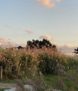 도심속휴식공원