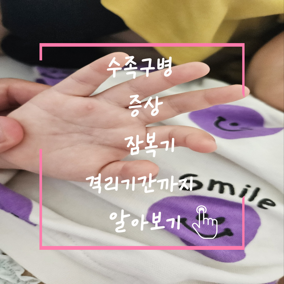 수족구병 증상 격리기간