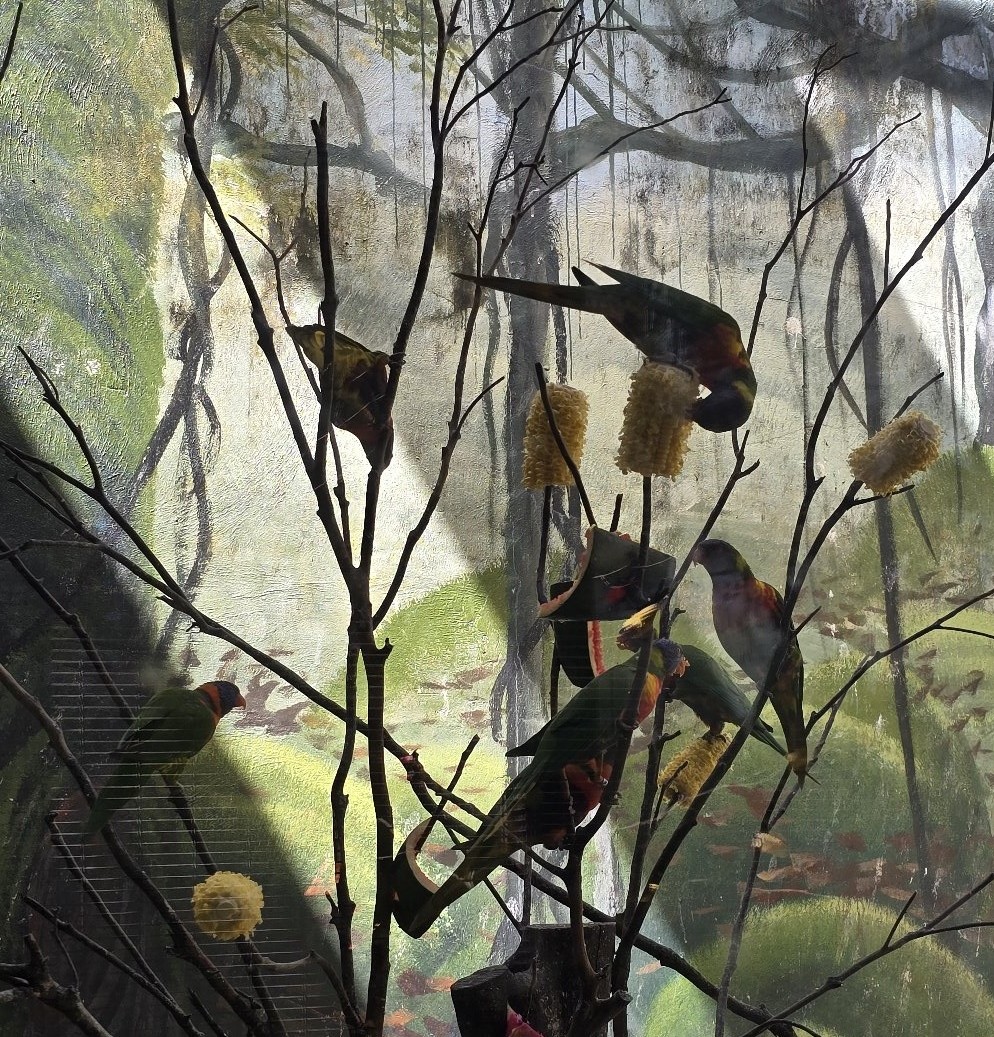 푸꾸옥 자유여행 세째날