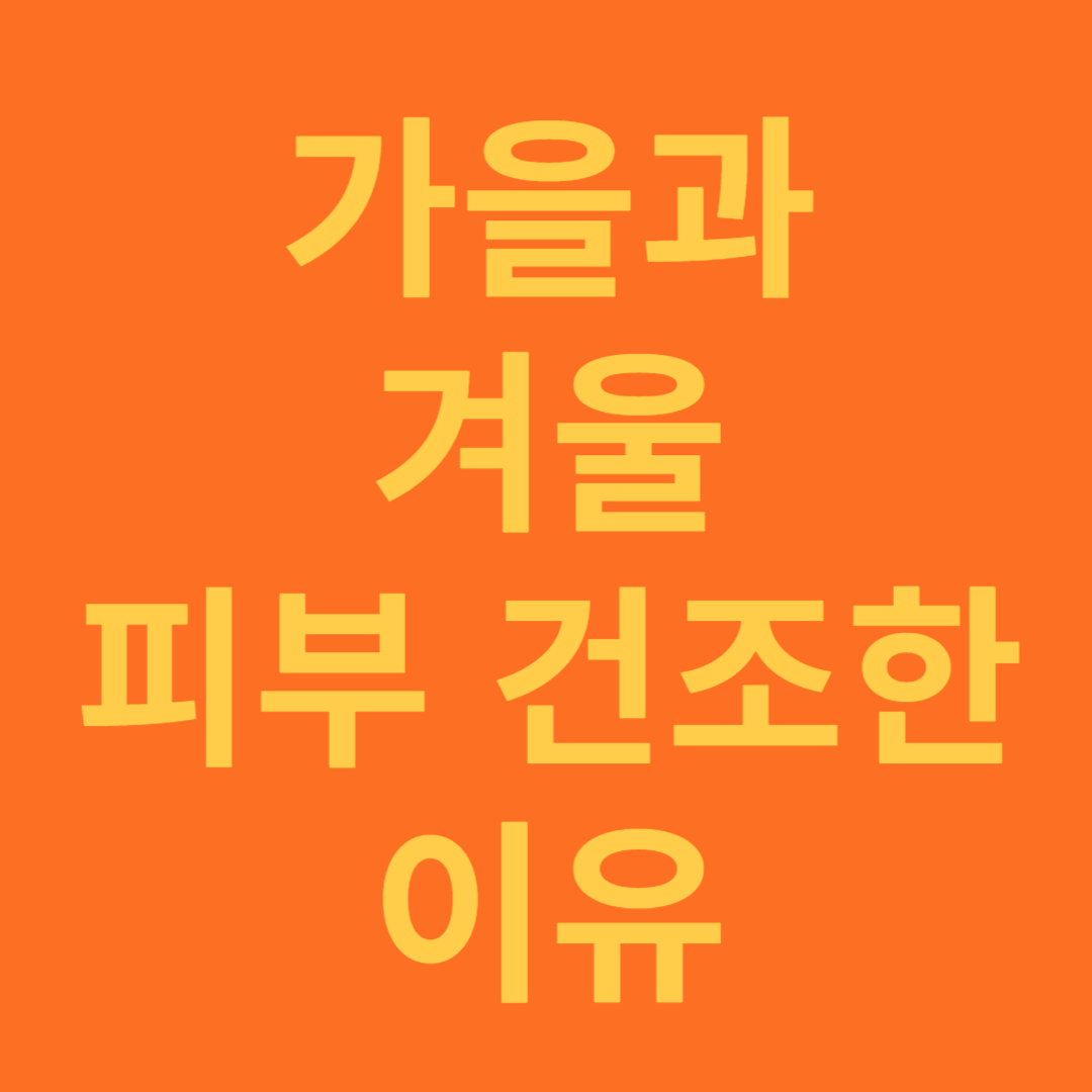 가을과 겨울 피부가 건조한 다양한 이유