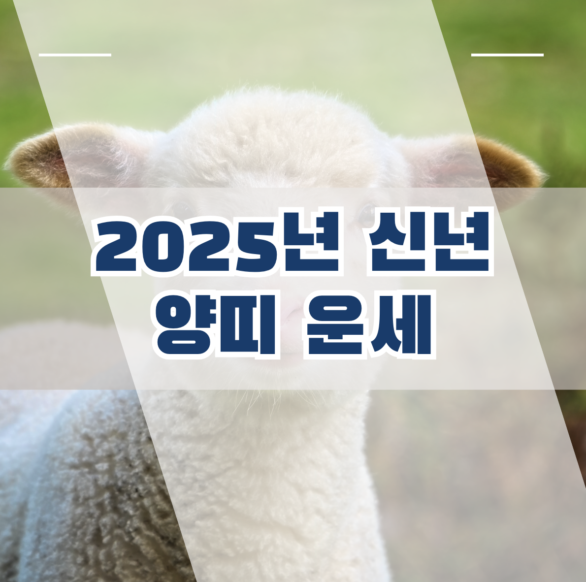 2025년 양띠