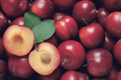 갱년기에 좋은 음식