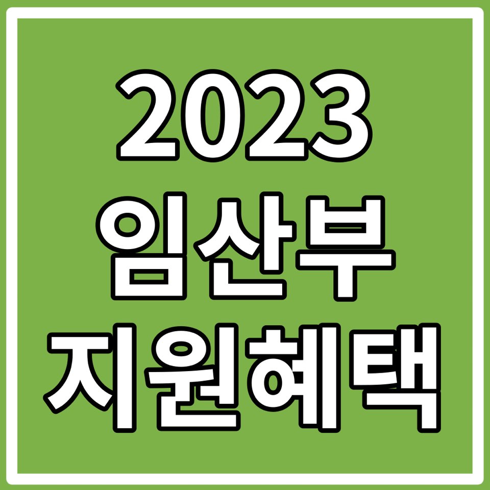 2023 임산부 정부 지원 서비스
