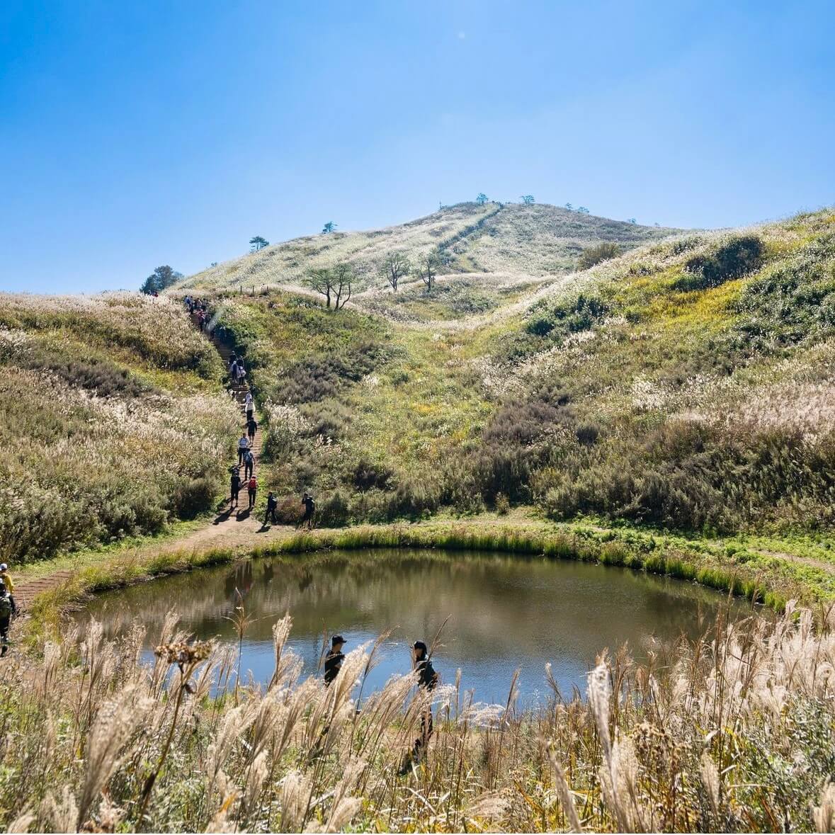 민둥산 억새꽃축제