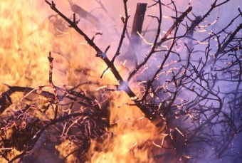 청송 산불 지원금 신청 방법 관련 사진