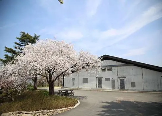 가산수피아