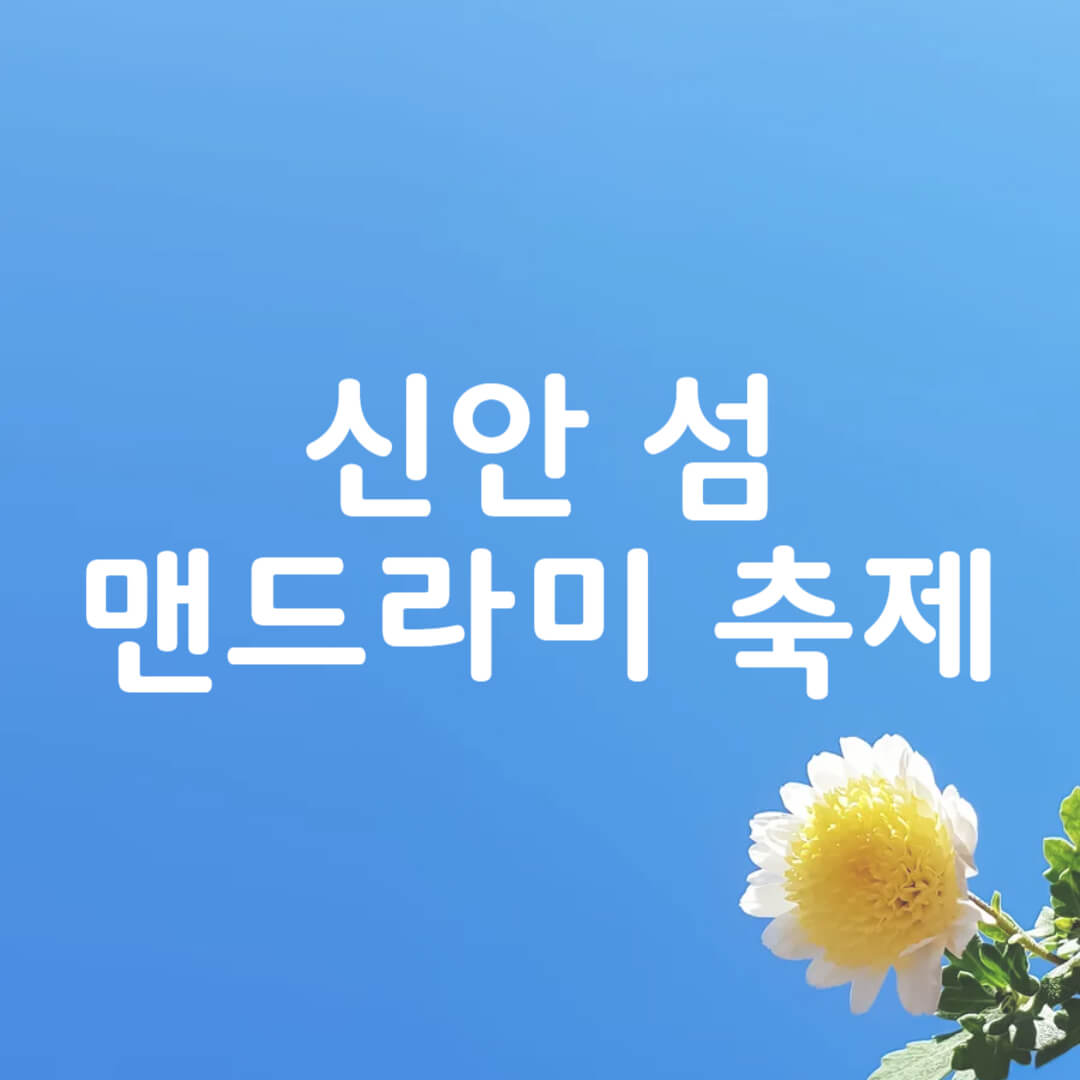 신안 섬 맨드라미 축제 일정