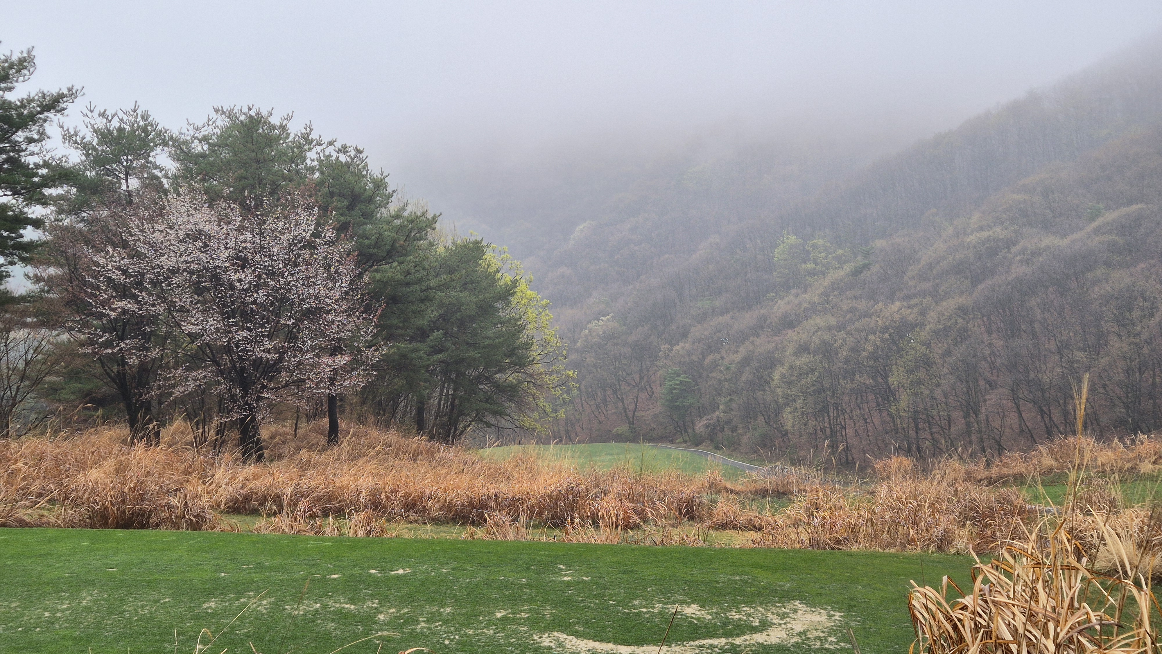 레인보우힐스cc 동-남 코스 사진 및 공략 정보
