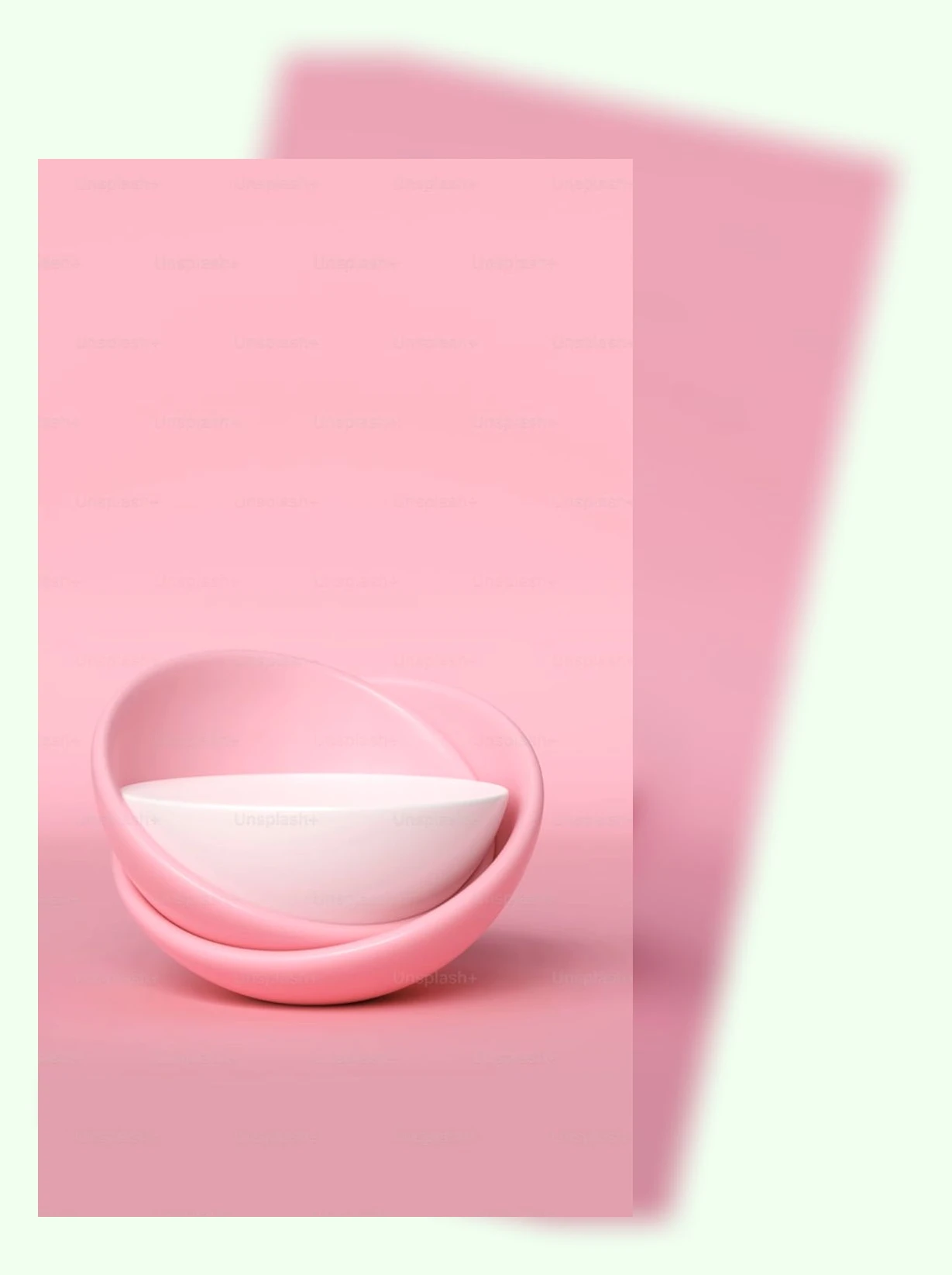 고양이 물그릇_3_subsection