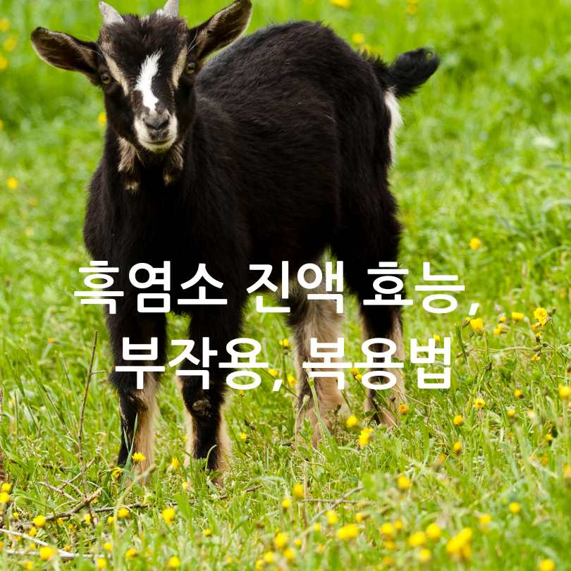 흑염소 진액 효능, 부작용, 복용법