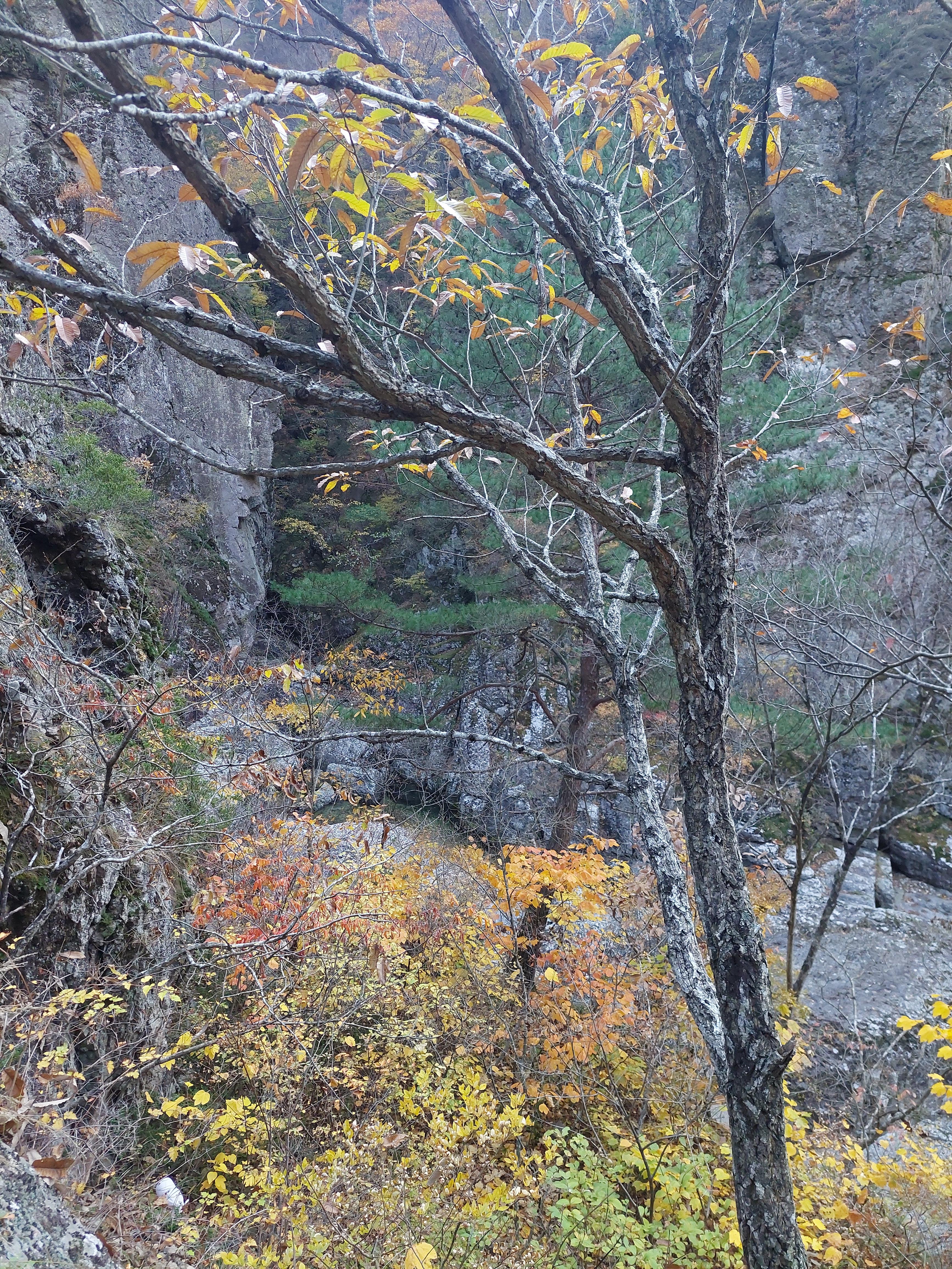 주왕산