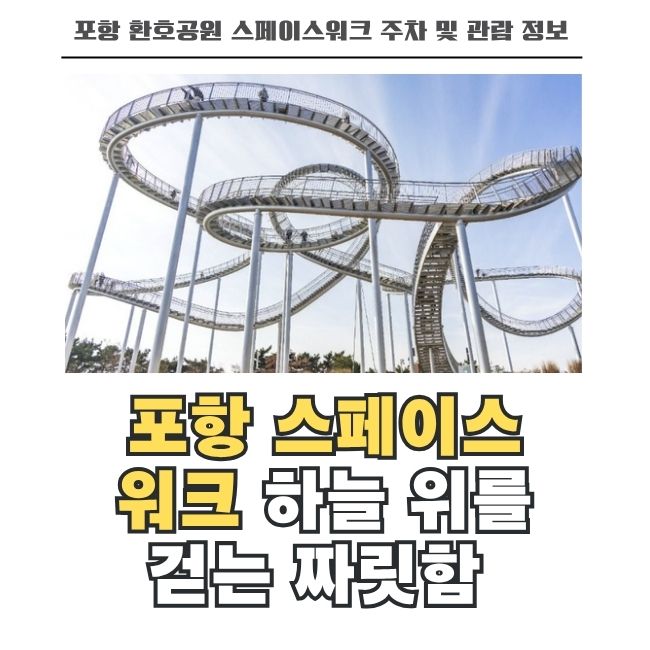 포항 스페이스워크 하늘 위를 걷는 듯한 짜릿함