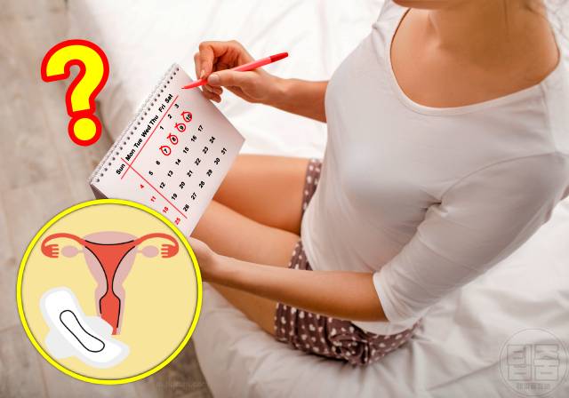 다낭성난소증후군 증상 자가진단 생리주기 배란 여자 살찌는병