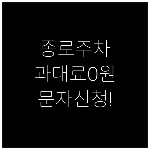 서울 종로구 불법주차 과태료 방지 문..