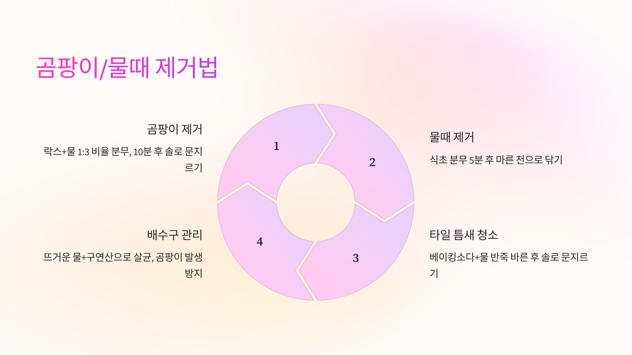 🦠 곰팡이 및 물때 제거하는 법
