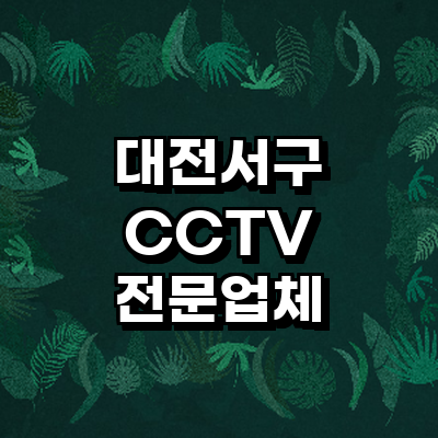 대전 서구 cctv