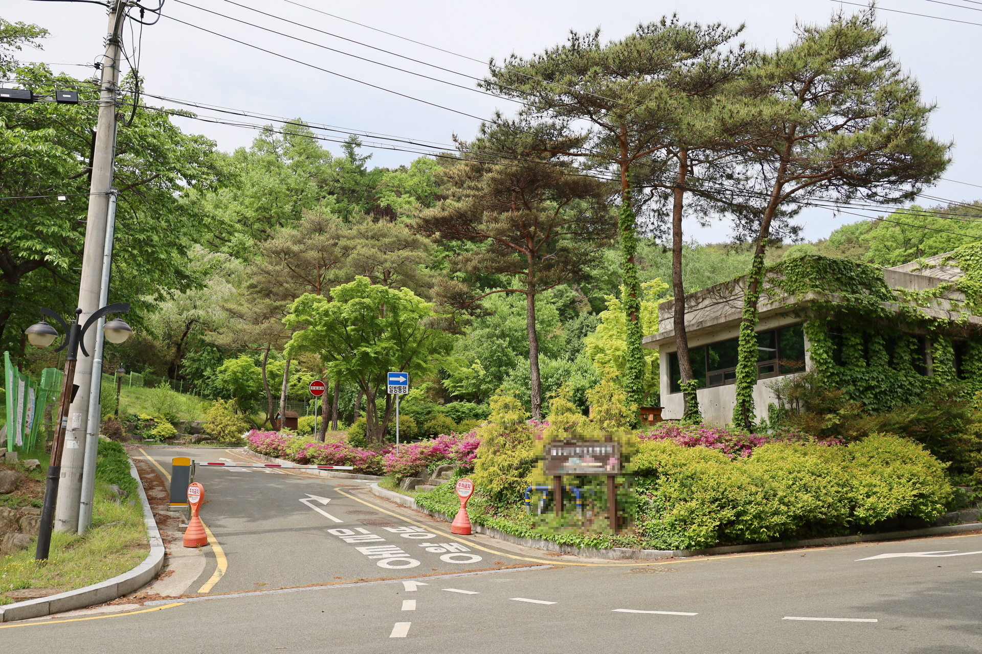 대구 팔공산 도학야영장 소개