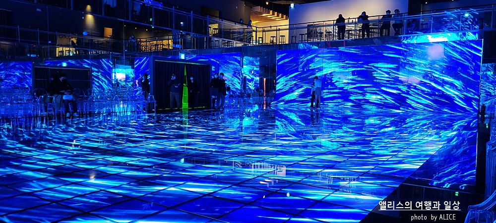 해운대 뮤지엄원 치유의기술, 부산 실내 가볼만한곳, 부산 전시 + 33% 할인예약방법