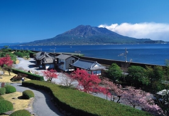 가고시마 벚꽃명소