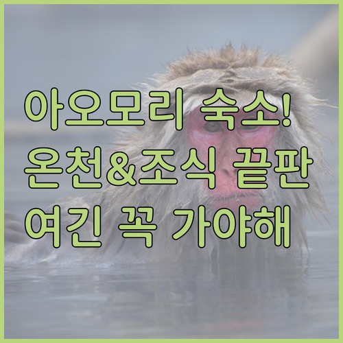 아오모리 숙소 추천 TOP 5 위치 ..