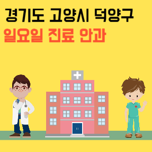 경기도 고양시 덕양구 일요일 안과 진료 병원 리스트