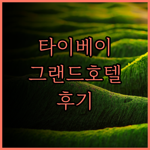 타이베이 더 그랜드 호텔 후기.. 웅