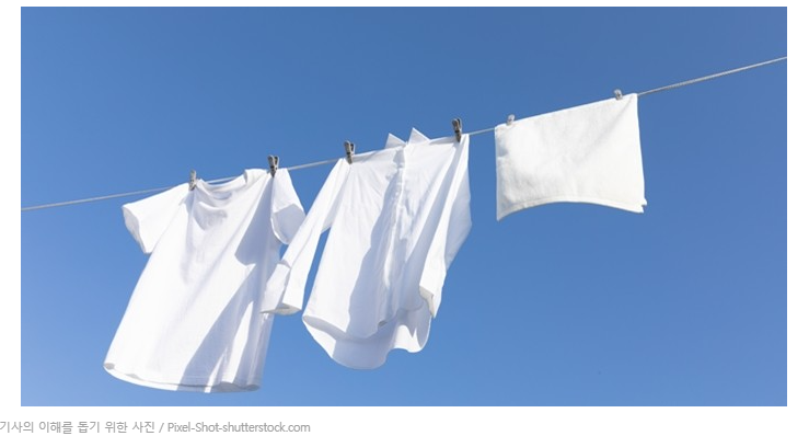 세탁 냄새 제거