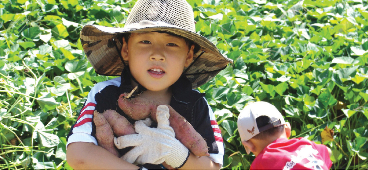 2025 증평인삼골축제&amp;#44;인삼 체험 축제