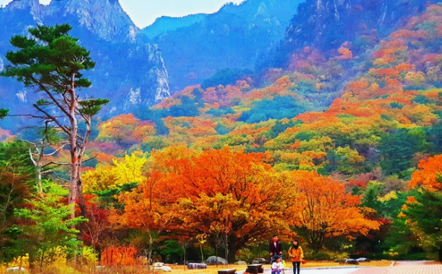 춘천 삼악산 단풍, 언제 가장 예쁠까? 가을 여행 필수 코스 &amp; 포토존 공개