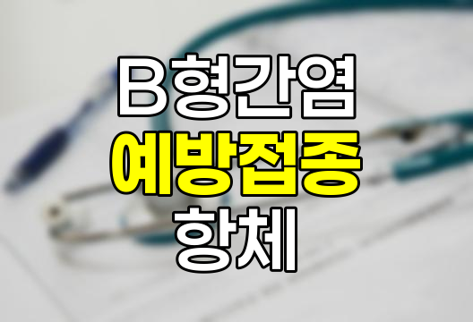 B형간염 예방접종, 가격, 항체 소실, 예방 및 관련 정보